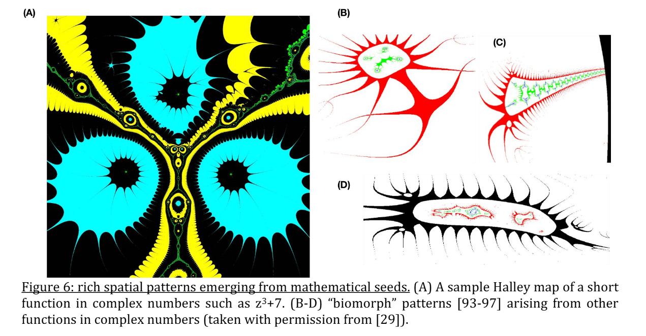 Capacità ed Emergenza dell'Intelligenza negli LLM